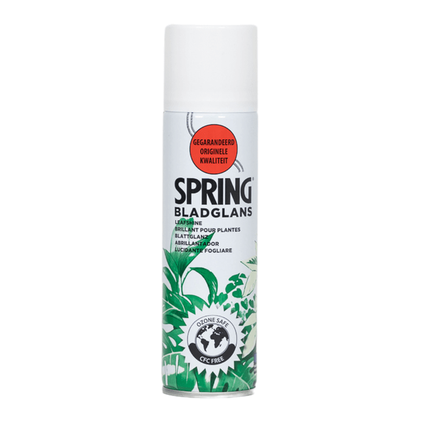 Blattglanz Spray – Pflanzenpflege für Zimmer- & Zierpflanzen – 250 ml – natürlicher Glanz & Staubschutz – für gesunde, glänzende Blätter 