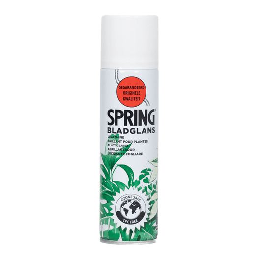 Blattglanz Spray – Pflanzenpflege für Zimmer- & Zierpflanzen – 250 ml – natürlicher Glanz & Staubschutz – für gesunde, glänzende Blätter 