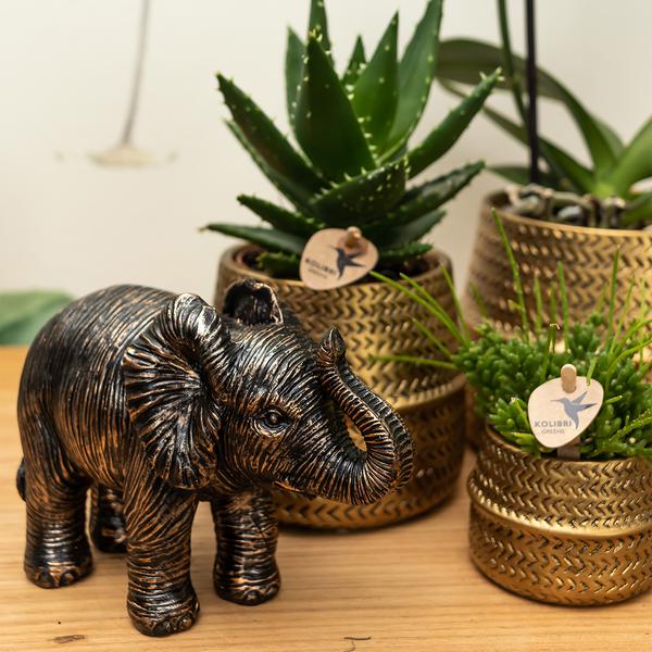 Blumentopf Groove – Gold – Ø9cm – Runder Keramik-Ziertopf mit Rillenstruktur – Mattes Finish – Dekotopf für Orchideen & Grünpflanzen – Für Wohnzimmer & Büro 