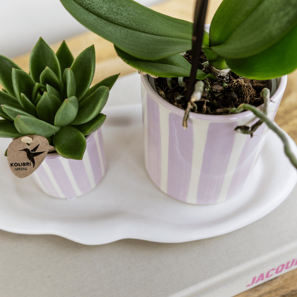 Painted Stripe Blumentopf Rosa Ø9cm – Dekorativer Keramiktopf im Streifenmuster – Pflanzentopf im Mediterranean Sunset Design – Stilvolle Blumendeko für Wohnzimmer, Küche & Büro 