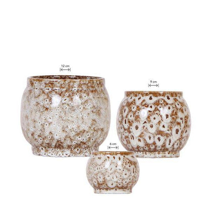 Kombi-Angebot Safari Ziertöpfe 3er Set – Ø6cm, Ø9cm & Ø12cm – Stilvolle Pflanztöpfe für Zimmerpflanzen – Exotisches Dschungel-Design 