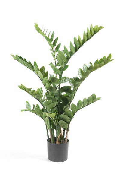 Kunstpflanze - Zamioculcas - Zimmerpalme - 110 cm 