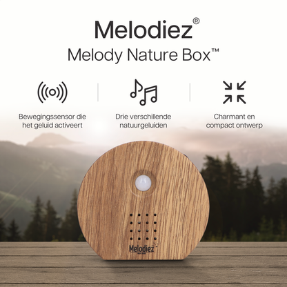 Melodiez - Musikbox – dunkles Holz 