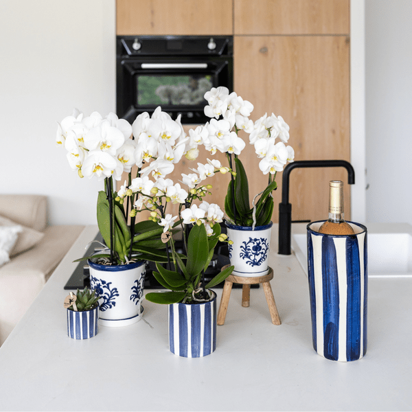 Malaga Blumentopf Blau – Ø9cm – Dekorativer Keramiktopf in Porzellanoptik – Mediterraner Ziertopf für Zimmerpflanzen – Für Fensterbank, Wohnzimmer & Büro 
