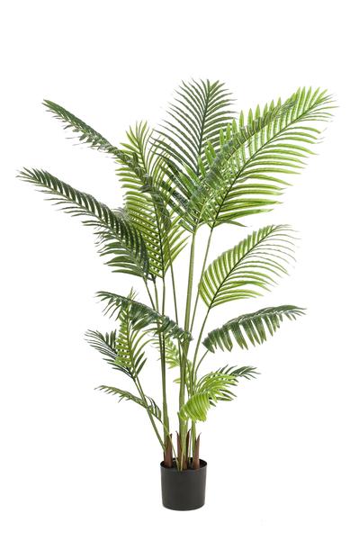 Kunstpalme Howea forsteriana – 160 cm – Realistische Kentia-Palme – Pflegefrei – Hypoallergen – Für Wohnzimmer, Büro & Wintergarten – Tropisches Deko-Highlight 