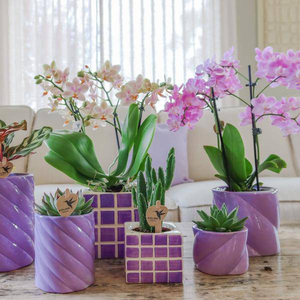 Candy Blumentopf Flieder Ø9cm – Dekorativer Keramiktopf in moderner runder Form – Pflanzentopf für Orchideen, Sukkulenten & Grünpflanzen – Stilvolle Blumendeko für Wohnzimmer, Küche & Büro 