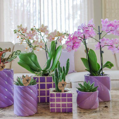 Candy Blumentopf Flieder Ø9cm – Dekorativer Keramiktopf in moderner runder Form – Pflanzentopf für Orchideen, Sukkulenten & Grünpflanzen – Stilvolle Blumendeko für Wohnzimmer, Küche & Büro 