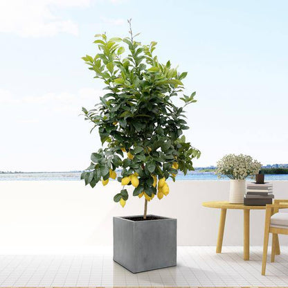 Block Topf Grau - L - D50cm x H50cm 