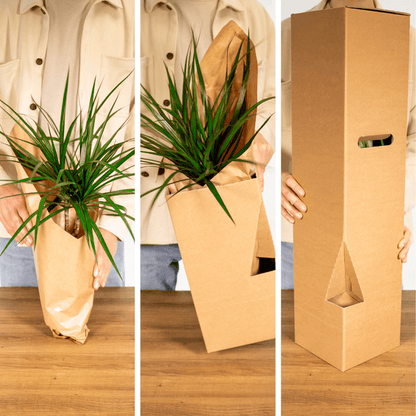 Gartenkräutermischung - 4 Stück - Ø14cm - ↕18cm 