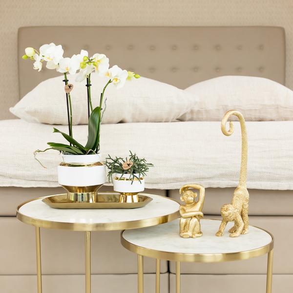 Ornament Dekoskulptur Sitzender Affe – Gold – Handgefertigte Polystone-Figur – 13cm – Verspieltes Dekoaccessoire für Zuhause und Pflanzensets 