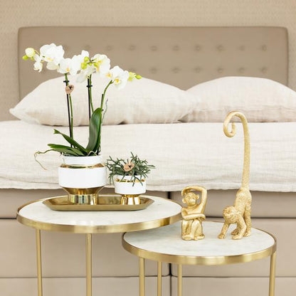 Ornament Dekoskulptur Sitzender Affe – Gold – Handgefertigte Polystone-Figur – 13cm – Verspieltes Dekoaccessoire für Zuhause und Pflanzensets 