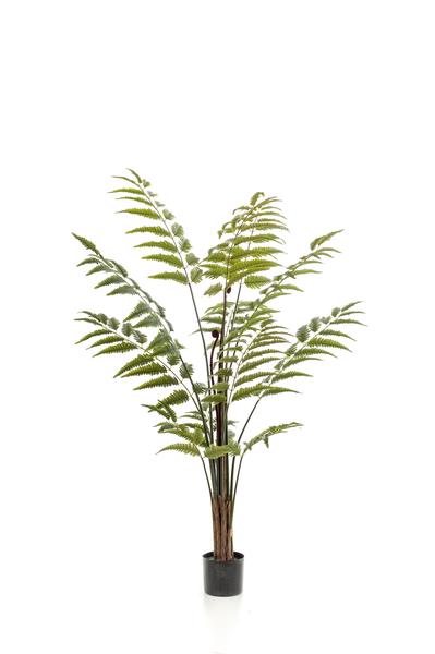 Kunstpflanze - Rumohra Adiantiformis - Lederfarn - 150 cm 