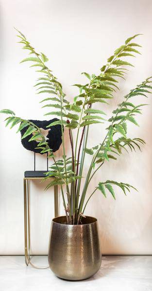 Kunstpflanze - Rumohra Adiantiformis - Lederfarn - 180 cm 