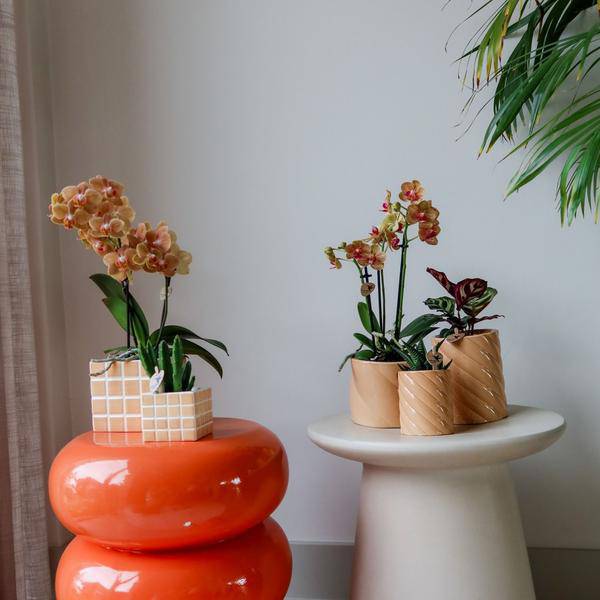 Candy Blumentopf Hoch Pfirsich Ø9cm – Dekorativer Keramiktopf in moderner Form – Pflanzentopf für Orchideen, Grünpflanzen & Sukkulenten – Stilvolle Blumendeko für Wohnzimmer, Küche & Büro 