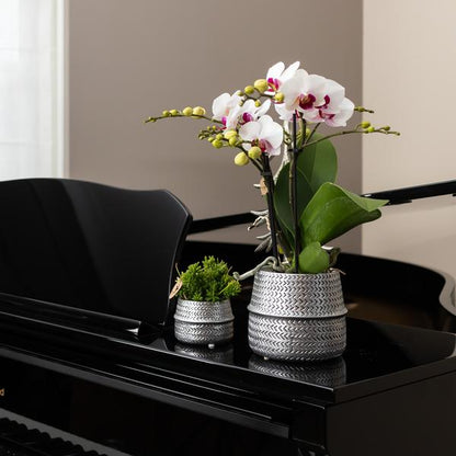 Blumentopf Rille – Gold – Ø6cm – Kleiner Keramik-Ziertopf mit Rillenstruktur – Matte Oberfläche – Für Mini-Pflanzen & Sukkulenten – Dekotopf für Wohnzimmer & Büro 