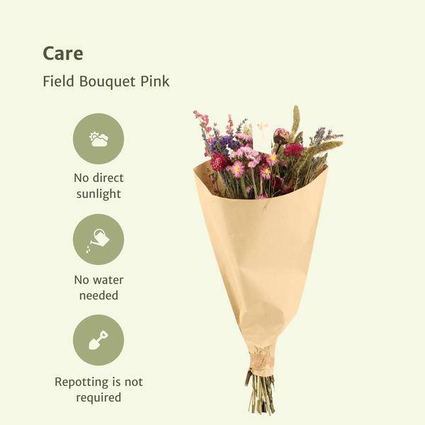 Feldblumenstrauß Rosa - Trockener Strauß - 50cm - Ø20cm - 10 Stück 