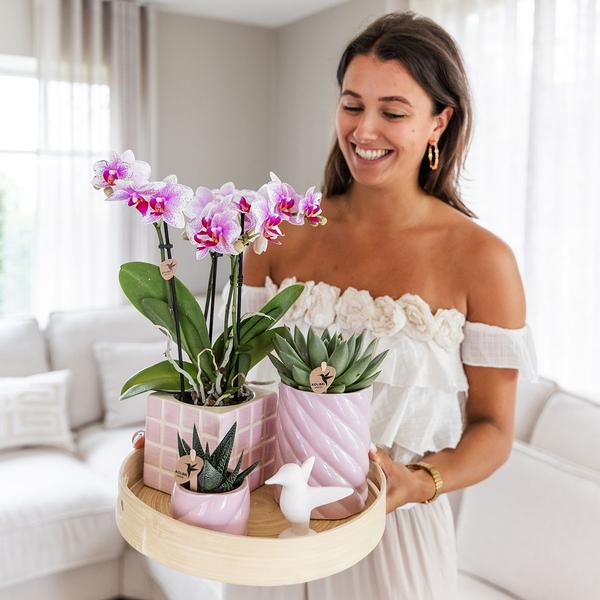 Candy Dekotopf – Hoch – Rosa – Ø9cm – Keramik Übertopf – Runde Form – Farbenfrohes Design – Für Zimmerpflanzen & Orchideen 