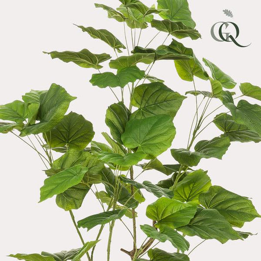 Ficus umbellate - Afrikanische Feige - Kunstpflanze - Zimmerpflanze - ↕125cm