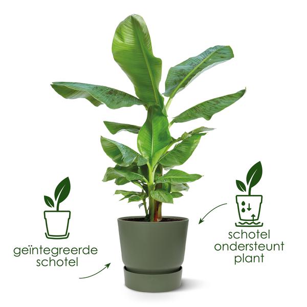Greenville Pflanztopf Schwarz – D24 x H23 – Moderner Blumentopf für Innen & Außen – Stilvolles Pflanzgefäß – Dekorativer Übertopf für Zimmer- & Gartenpflanzen 
