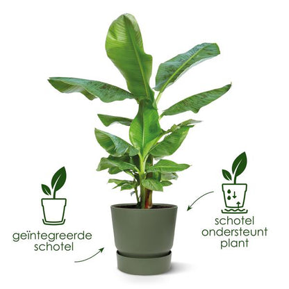 Greenville Pflanztopf Schwarz – D24 x H23 – Moderner Blumentopf für Innen & Außen – Stilvolles Pflanzgefäß – Dekorativer Übertopf für Zimmer- & Gartenpflanzen 