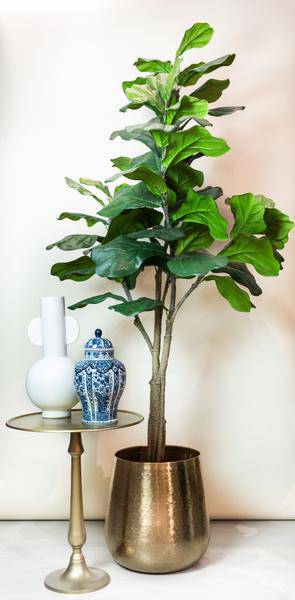 Kunstpflanze - Ficus Lyrata - Tabakpflanze - 180 cm 