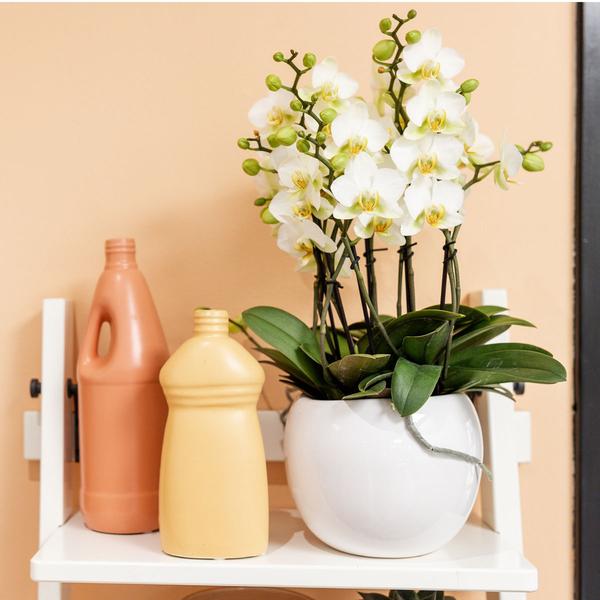 Blumentopf Bowl – Weiß – Keramik-Ziertopf Ø9cm – Handgefertigter Übertopf mit Wellenrand – Für Zimmerpflanzen & Sukkulenten 
