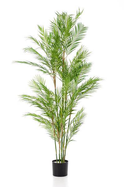 Kunstpflanze - Chamaedorea Elegans - Bergpalme - 180 cm 