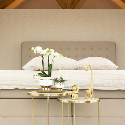 Le Chic Blumentopf – Weißer Keramiktopf mit goldenen Details – Ø6cm – Eleganter Ziertopf für Orchideen & Grünpflanzen – Glänzende Dekoration fürs Zuhause 