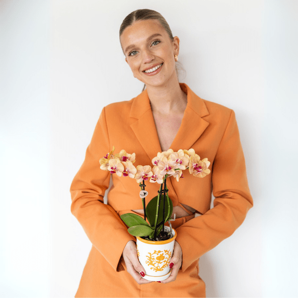 Malaga Blumentopf Orange Ø9cm – Dekorativer Keramiktopf in sommerlichem Design – Pflanzentopf für Zimmerpflanzen & Kräuter – Stilvolle Blumendeko für Wohnzimmer, Küche & Büro 