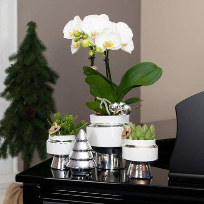 Le Chic Blumentopf – Weißer Keramik-Ziertopf mit silbernen Details – Ø6cm – Dekorativer Übertopf für Orchideen & Grünpflanzen – Elegantes Design 