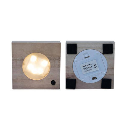 Calathea Hydroponie-Mischung im Samoa Glas mit LED Beleuchtung – Ø12cm – 10cm hoch – pflegeleichte Zimmerpflanze ohne Erde – dekoratives grünes Laub 