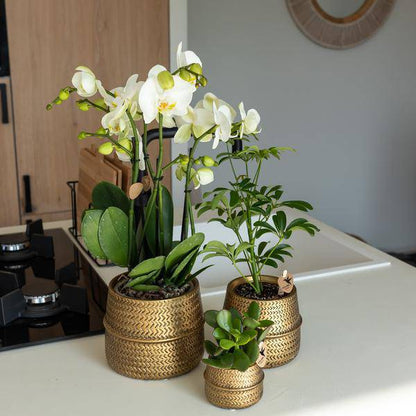 Groove Blumentopf Gold – Keramik-Topf mit mattem Finish – Ø12cm – Robustes, strukturiertes Design – Eleganter Pflanztopf fürs Wohnzimmer 