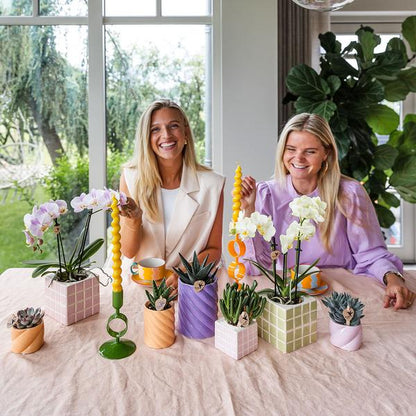 Candy Dekotopf Rosa – Ø6cm – Runder Keramik Blumentopf – Moderner Mini Blumentopf für Orchideen & kleine Zimmerpflanzen – Dekoration für Wohnzimmer, Küche & Büro 
