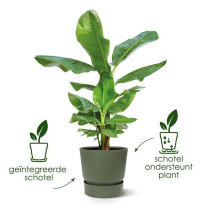 Greenville Pflanztopf Grün – D18 x H17 – Moderner Blumentopf für Innen & Außen – Stilvolles Pflanzgefäß – Dekorativer Übertopf für Zimmerpflanzen & Balkon 